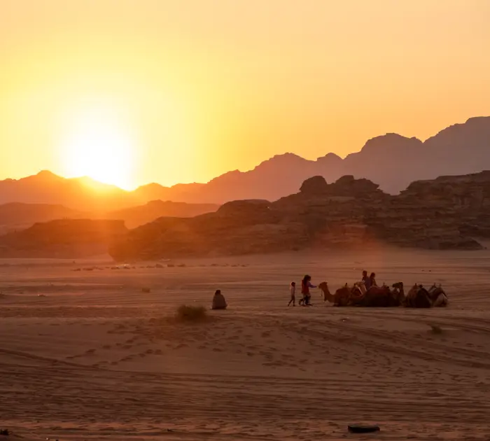 Solnedgang Kameler Jordan.jpg