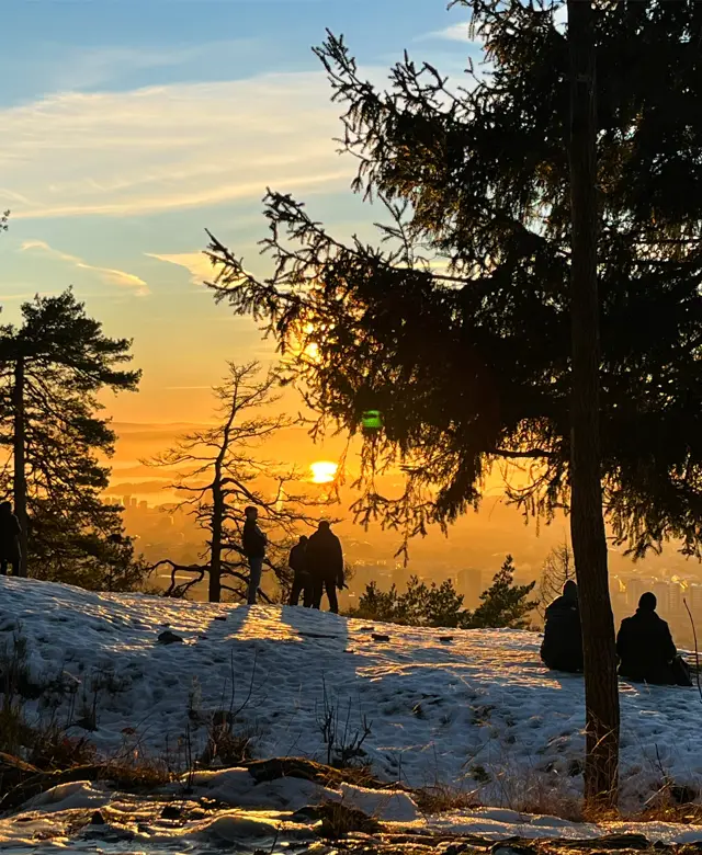Grefsenkollen Oslo.jpg 