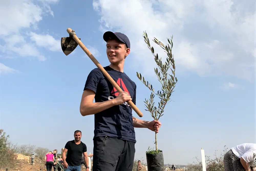 Oliventre Plante Palestina.png