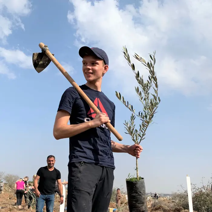 Oliventre Plante Palestina.png