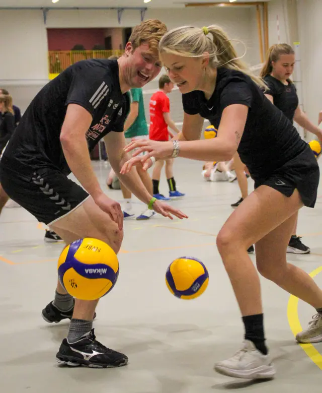 1.1. Multi volleyball2023_1.jpg